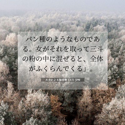 ルカによる福音書 13:21 聖書の一節の解説