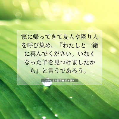 ルカによる福音書 15:6 聖書の一節の解説