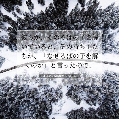 ルカによる福音書 19:33 聖書の一節の解説