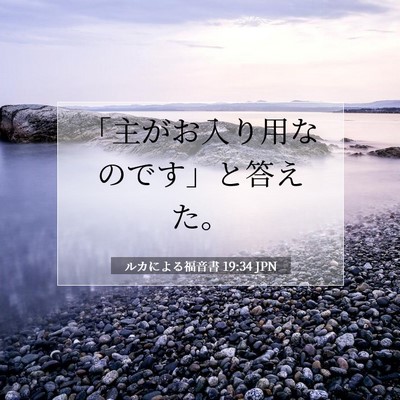ルカによる福音書 19:34 JPN 聖書の一節の画像