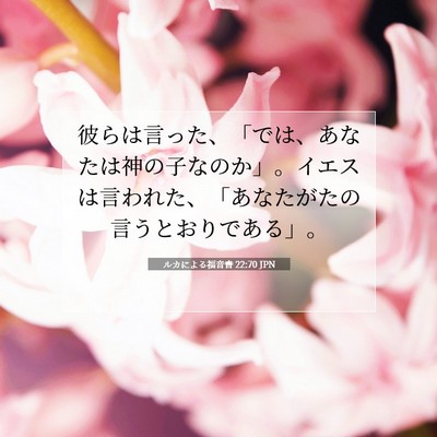 ルカによる福音書 22:70 聖書の一節の解説