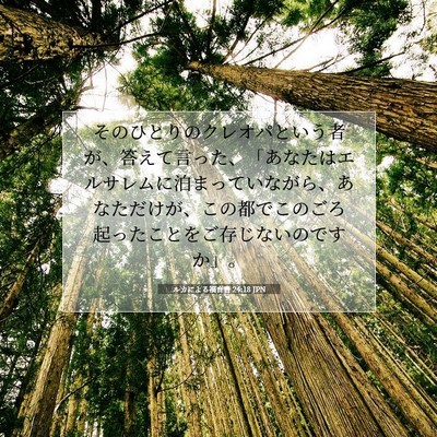 ルカによる福音書 24:18 聖書の一節の解説