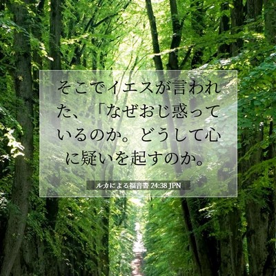 ルカによる福音書 24:38 聖書の一節の解説