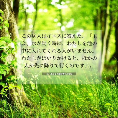 ヨハネによる福音書 5:7 聖書の一節の解説