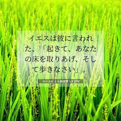 ヨハネによる福音書 5:8 聖書の一節の解説