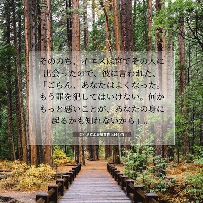 ヨハネによる福音書 5:14 聖書の一節の解説