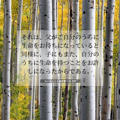 ヨハネによる福音書 5:26 聖書の一節の解説