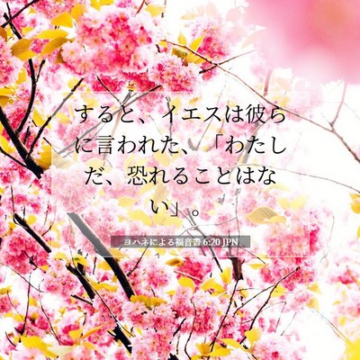 ヨハネによる福音書 6:20 聖書の一節の解説