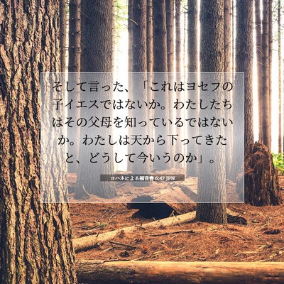 ヨハネによる福音書 6:42 聖書の一節の解説