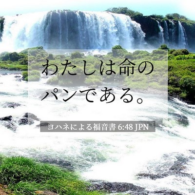 ヨハネによる福音書 6:48 聖書の一節の解説