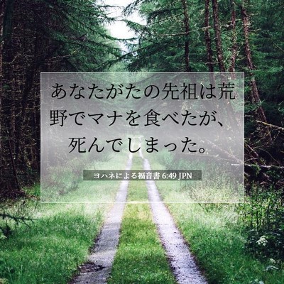 ヨハネによる福音書 6:49 聖書の一節の解説