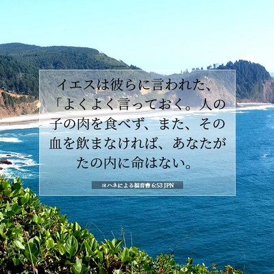 ヨハネによる福音書 6:53 聖書の一節の解説