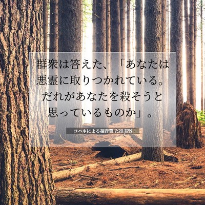 ヨハネによる福音書 7:20 聖書の一節の解説