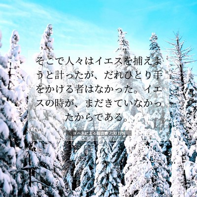 ヨハネによる福音書 7:30 聖書の一節の解説