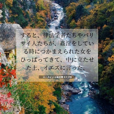ヨハネによる福音書 8:3 聖書の一節の解説