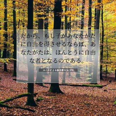ヨハネによる福音書 8:36 聖書の一節の解説