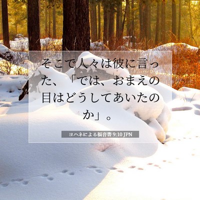 ヨハネによる福音書 9:10 聖書の一節の解説