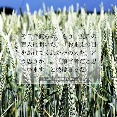 ヨハネによる福音書 9:17 聖書の一節の解説