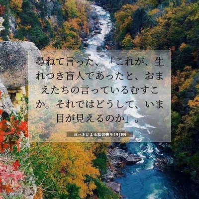 ヨハネによる福音書 9:19 聖書の一節の解説