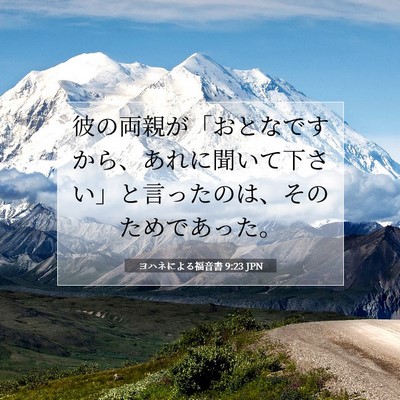 ヨハネによる福音書 9:23 聖書の一節の解説