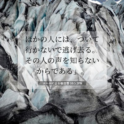 ヨハネによる福音書 10:5 聖書の一節の解説