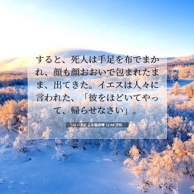 ヨハネによる福音書 11:44 JPN 聖書の一節の画像