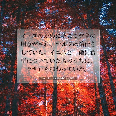 ヨハネによる福音書 12:2 聖書の一節の解説
