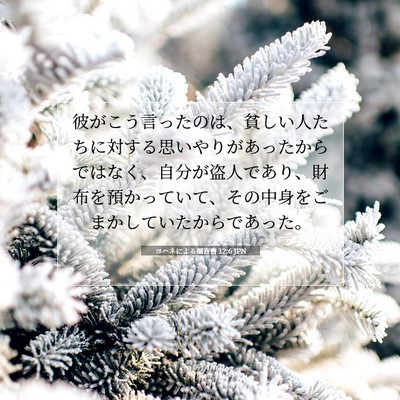 ヨハネによる福音書 12:6 聖書の一節の解説