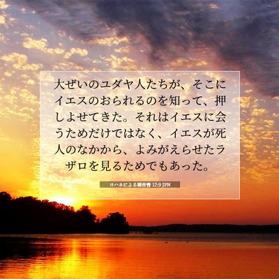 ヨハネによる福音書 12:9 JPN 聖書の一節の画像