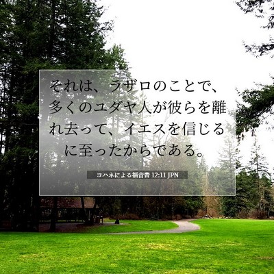ヨハネによる福音書 12:11 聖書の一節の解説