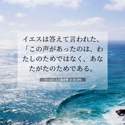 ヨハネによる福音書 12:30 聖書の一節の解説