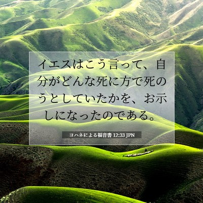 ヨハネによる福音書 12:33 聖書の一節の解説