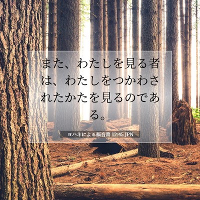ヨハネによる福音書 12:45 聖書の一節の解説