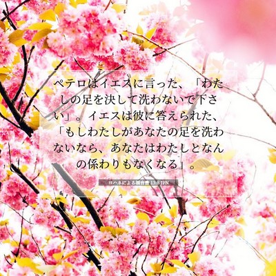 ヨハネによる福音書 13:8 JPN 聖書の一節の画像