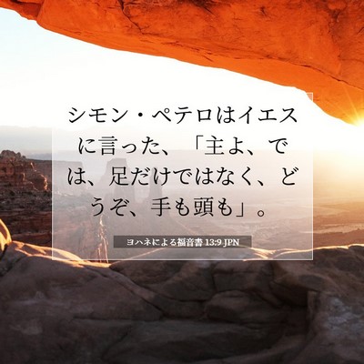 ヨハネによる福音書 13:9 聖書の一節の解説