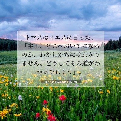 ヨハネによる福音書 14:5 聖書の一節の解説