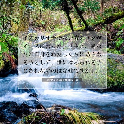 ヨハネによる福音書 14:22 JPN 聖書の一節の画像