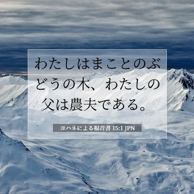 ヨハネによる福音書 15:1 JPN 聖書の一節の画像
