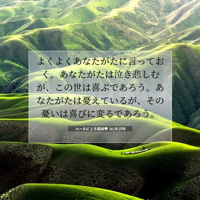 ヨハネによる福音書 16:20 聖書の一節の解説