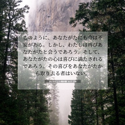 ヨハネによる福音書 16:22 JPN 聖書の一節の画像