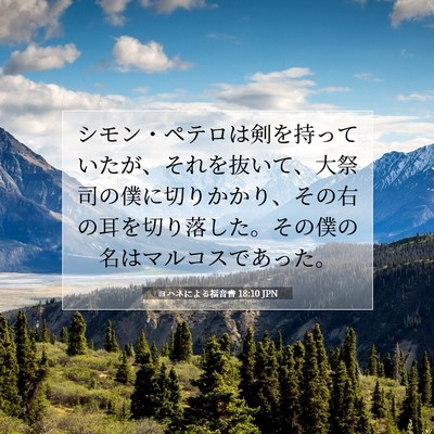 ヨハネによる福音書 18:10 聖書の一節の解説