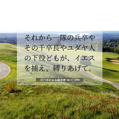 ヨハネによる福音書 18:12 聖書の一節の解説