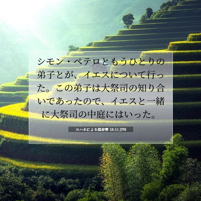 ヨハネによる福音書 18:15 聖書の一節の解説