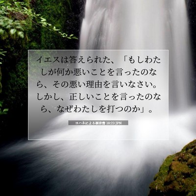 ヨハネによる福音書 18:23 聖書の一節の解説