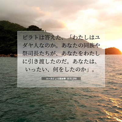 ヨハネによる福音書 18:35 聖書の一節の解説