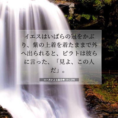 ヨハネによる福音書 19:5 聖書の一節の解説