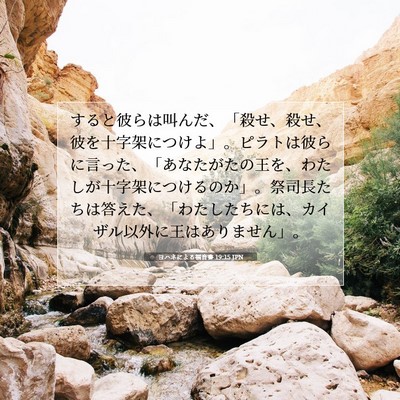 ヨハネによる福音書 19:15 聖書の一節の解説