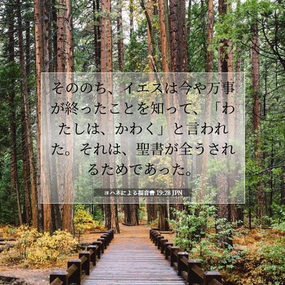 ヨハネによる福音書 19:28 聖書の一節の解説