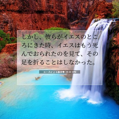 ヨハネによる福音書 19:33 聖書の一節の解説