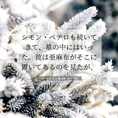ヨハネによる福音書 20:6 聖書の一節の解説